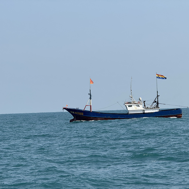 浙奉渔渔船拖网